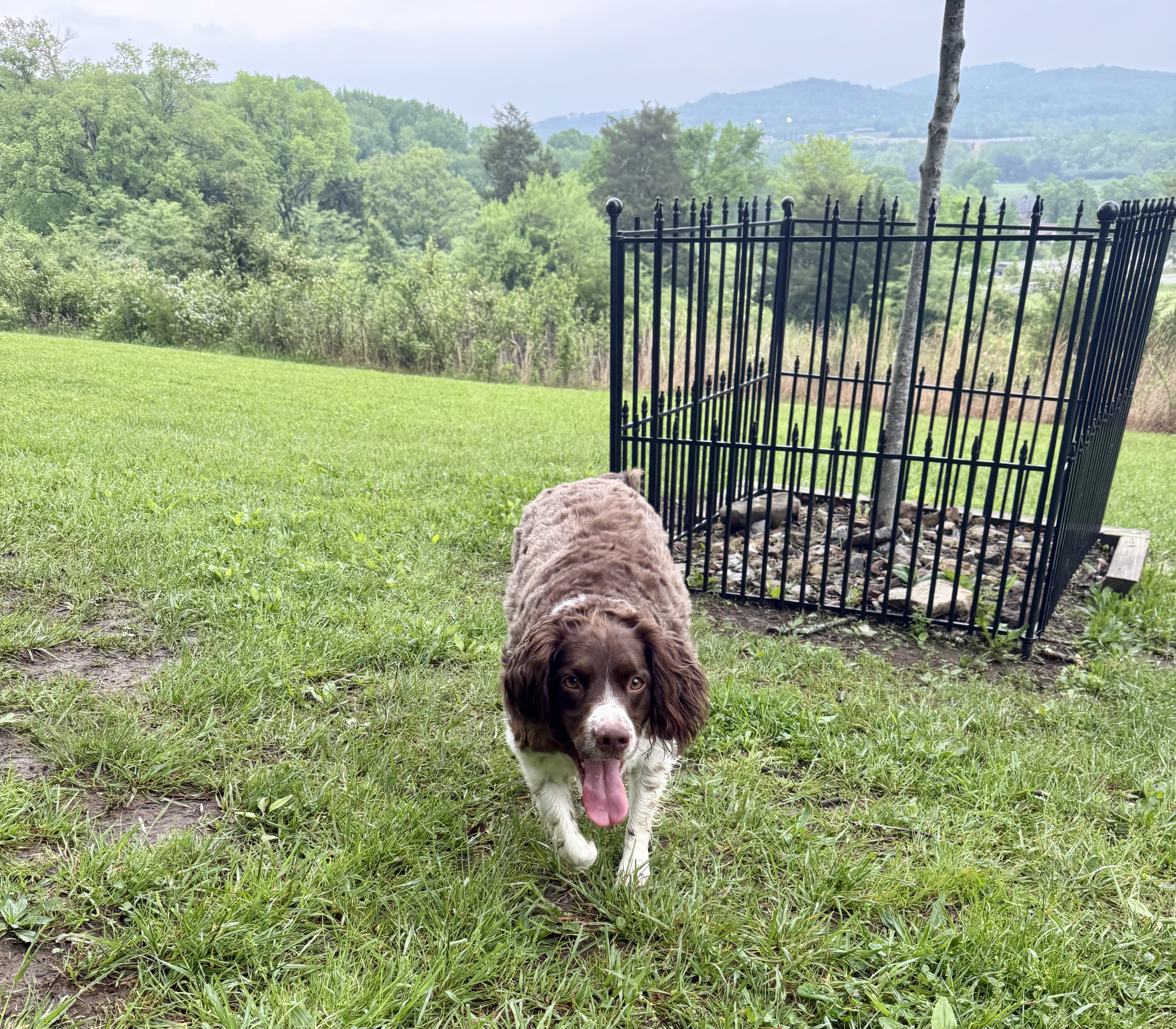 Smith Park Shenanigans: Mud, Turtles, and the Slowest Hike of My Life
